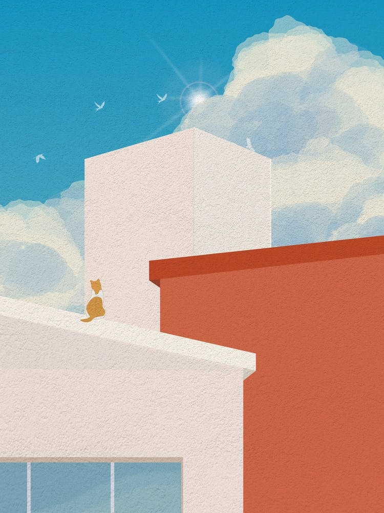Minimal art Cat On Beautiful View Roof