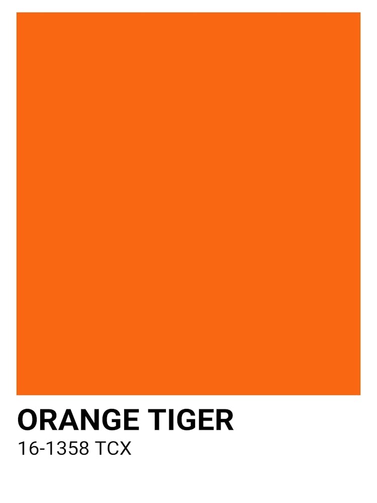 Orange Tiger