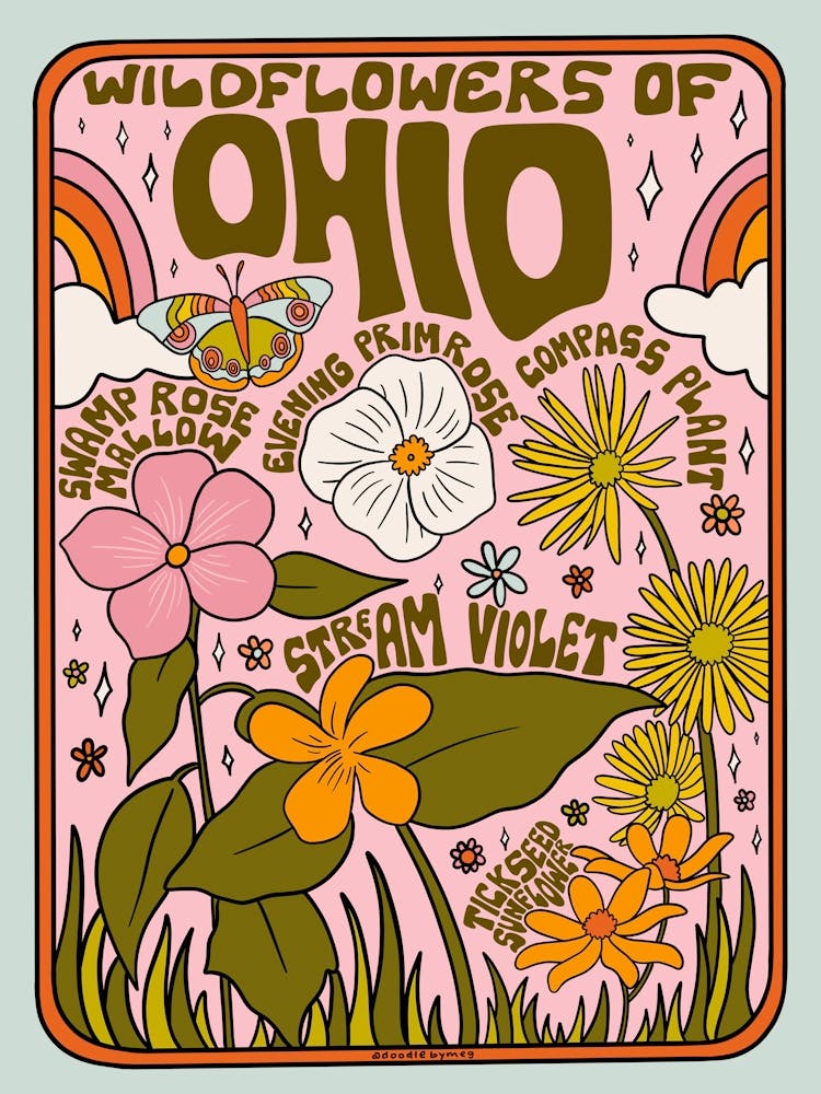 Ohio Wildflowers