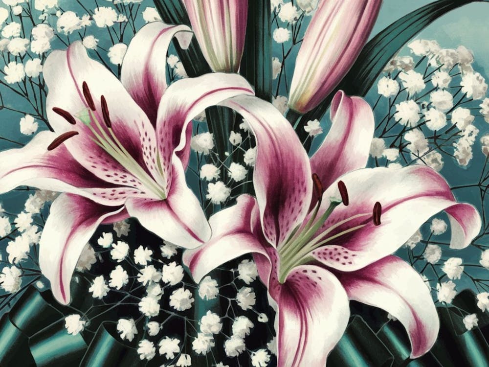 Elegant Pink Lilies - Floral