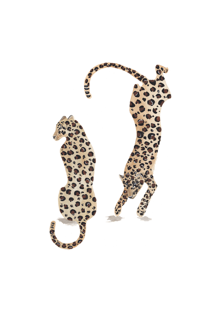 Leopards