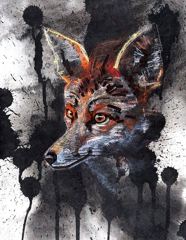 pretty fox in black mood