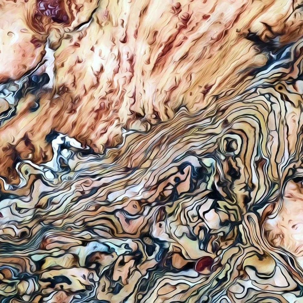 Abstract Oil Painting