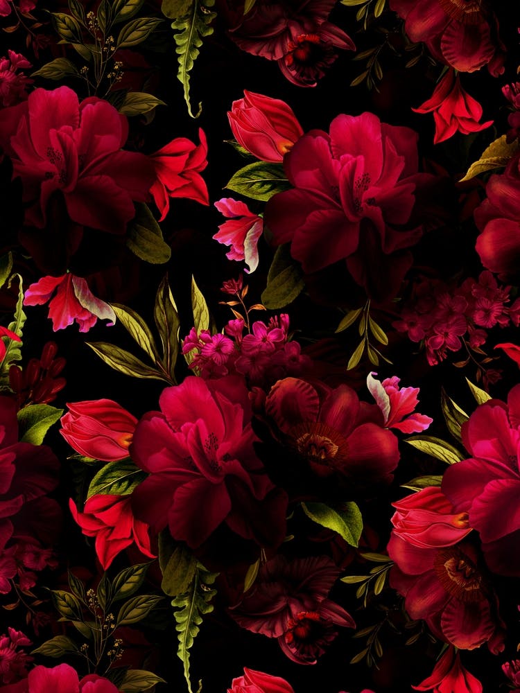 Dark Red Vintage Roses