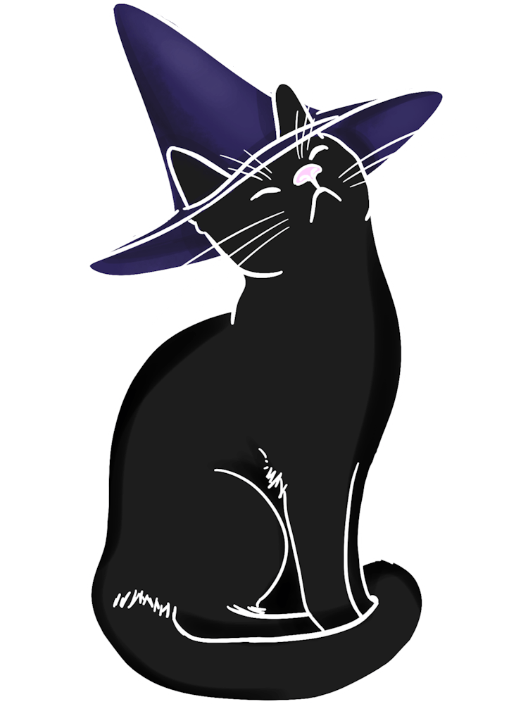 Whimsical Black Cat In A Witch Hat