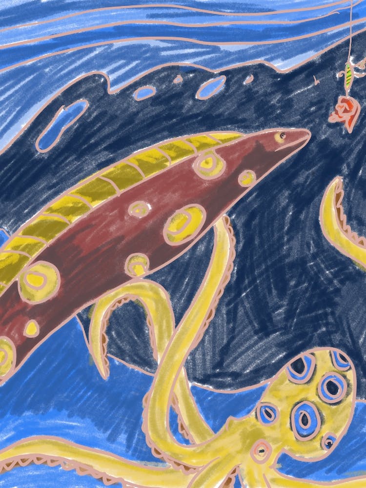 Octopus