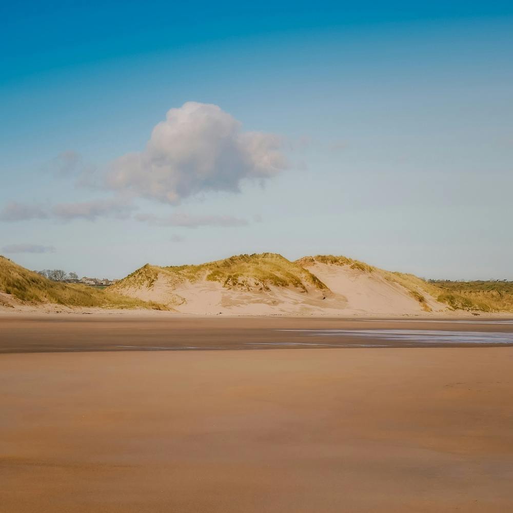 Dunescape Across The Sand Square