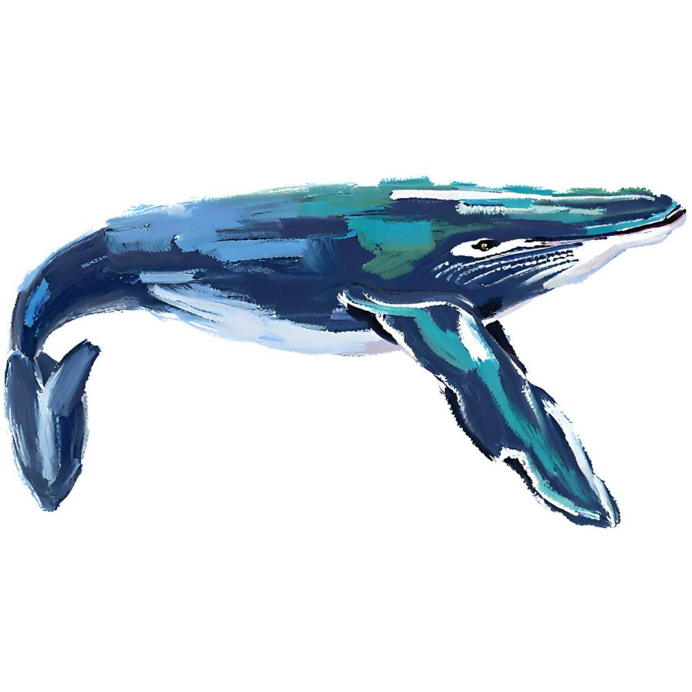 Humpback Whale 03