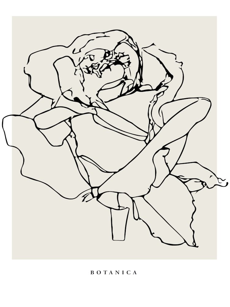 Botanica line no 09