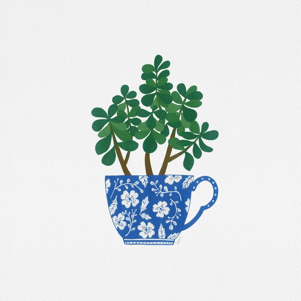 Jade Houseplant Blue Tea Cup Painting