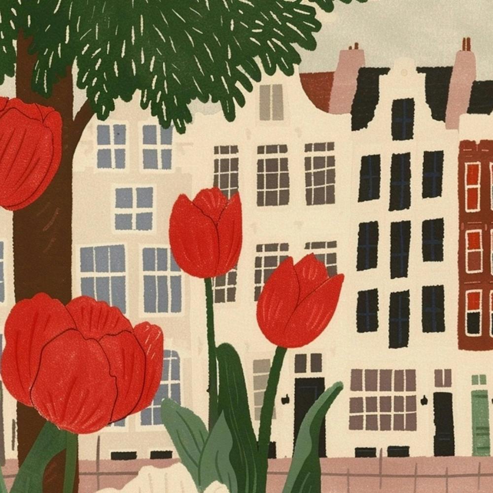 Amsterdam Tulips