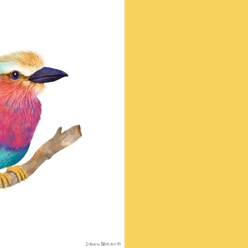 Lilac Breasted Roller