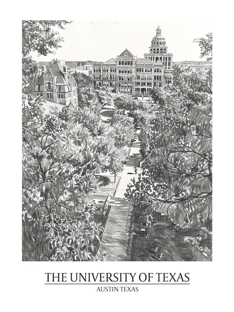 The University Of Texas At Austin Texas Black And White Drawing 1 Poster