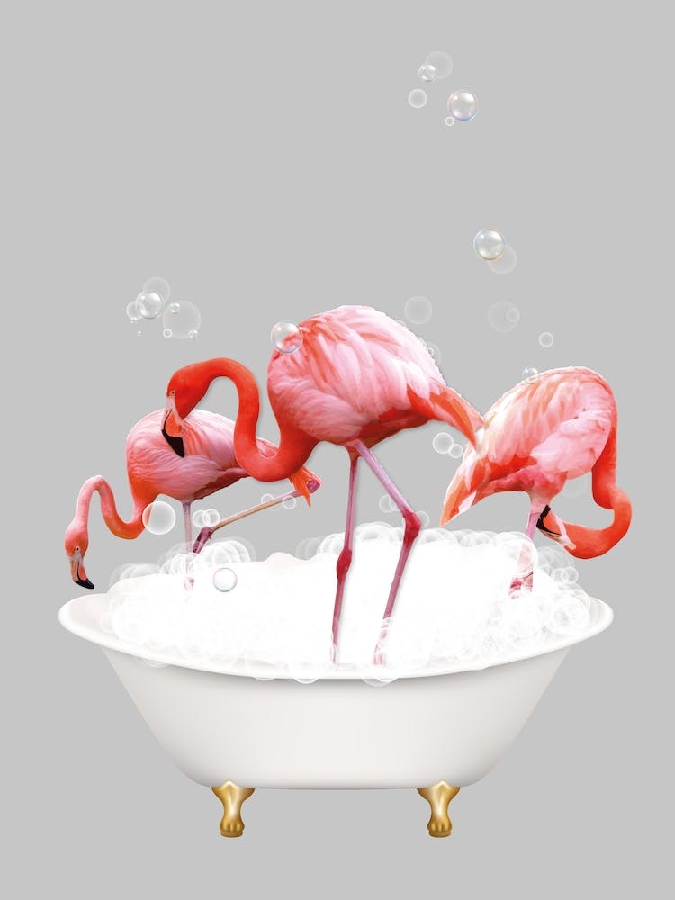 Flamingos In The Bath
