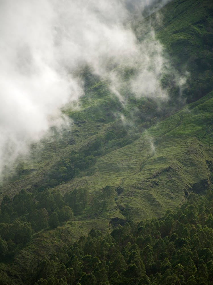 Hiking Through Greens And Clouds