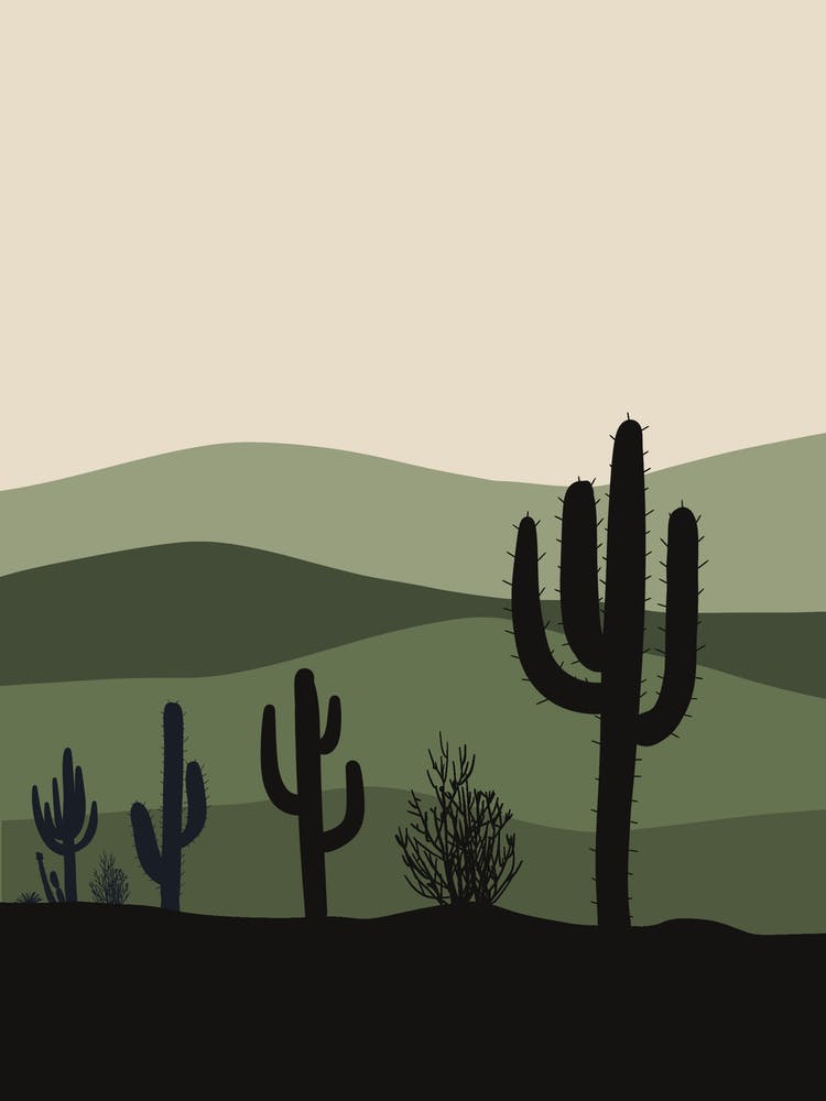 Cactus In The Desert 28