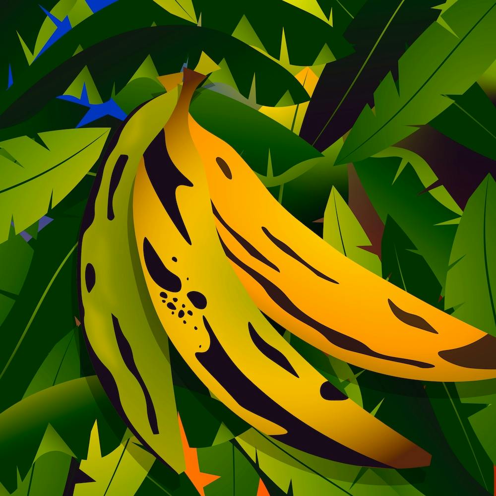3 Plantains 