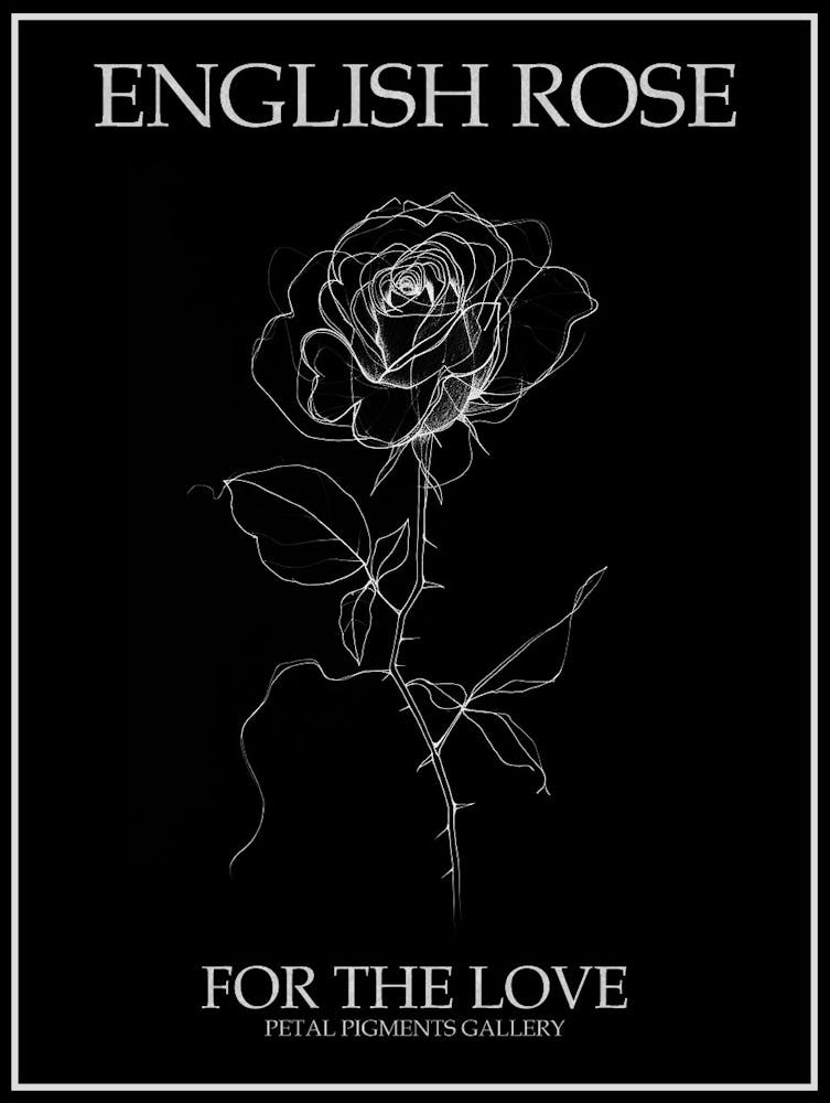 English Rose Black And White Line Drawing 19 Poster Inverted