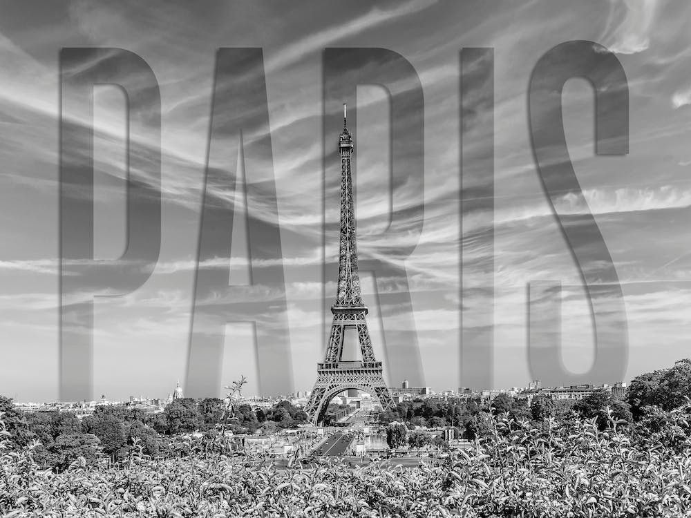 Paris Skyline Monochrome