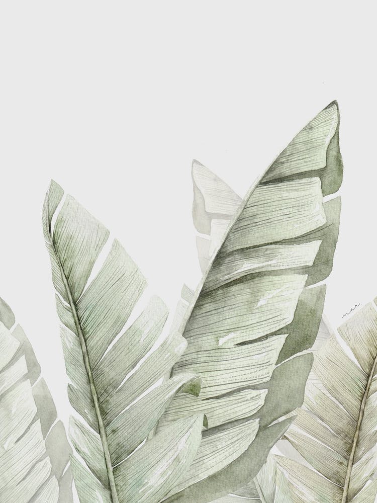 Banana Leaves I
