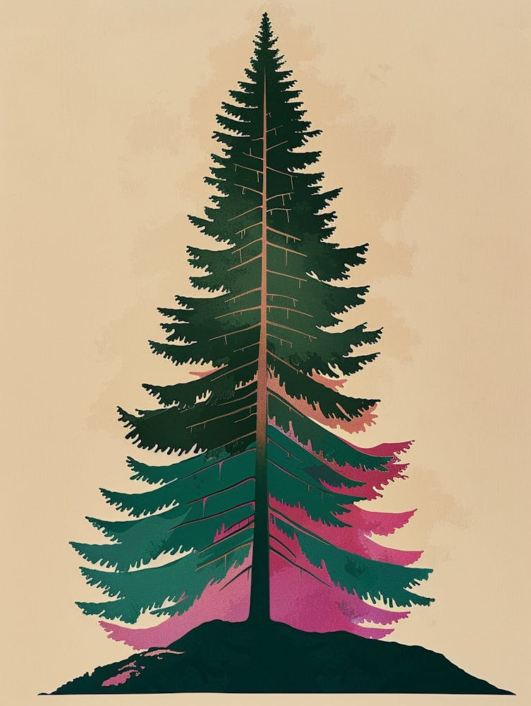 Fir Tree Colourful Illustration 4