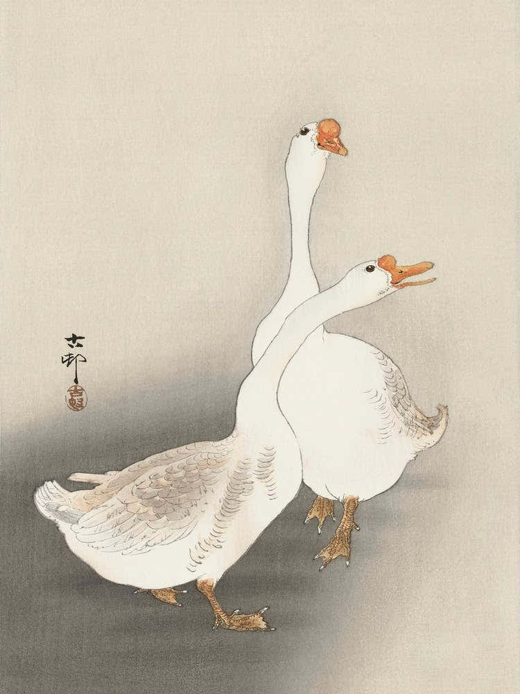 Two Geese (1900 1930), Ohara Koson