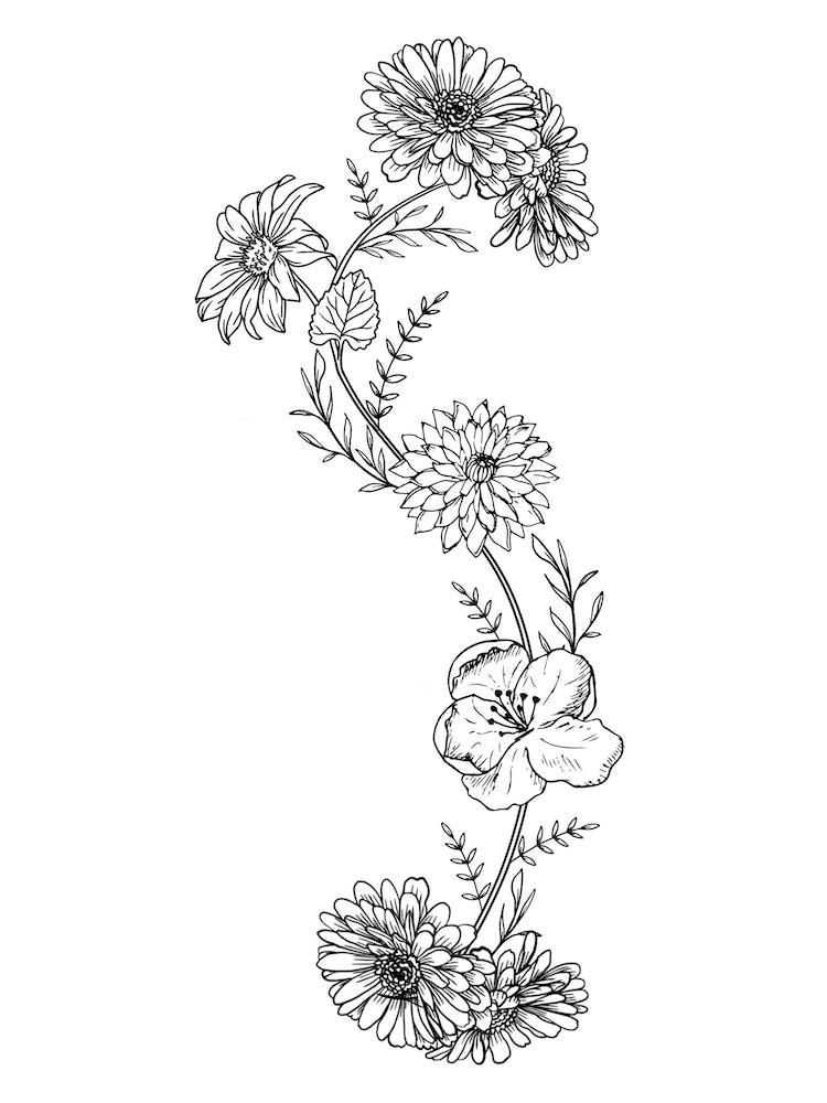 Floral Scoliosis
