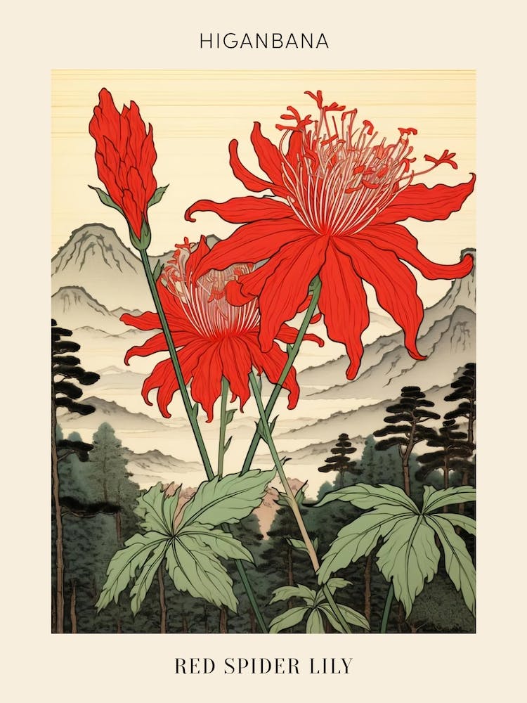 Higanbana Red Spider Lily 1 Japanese Botanical Illustration Poster