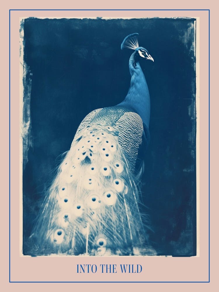 Peacock Cyanotype Inspired Poster