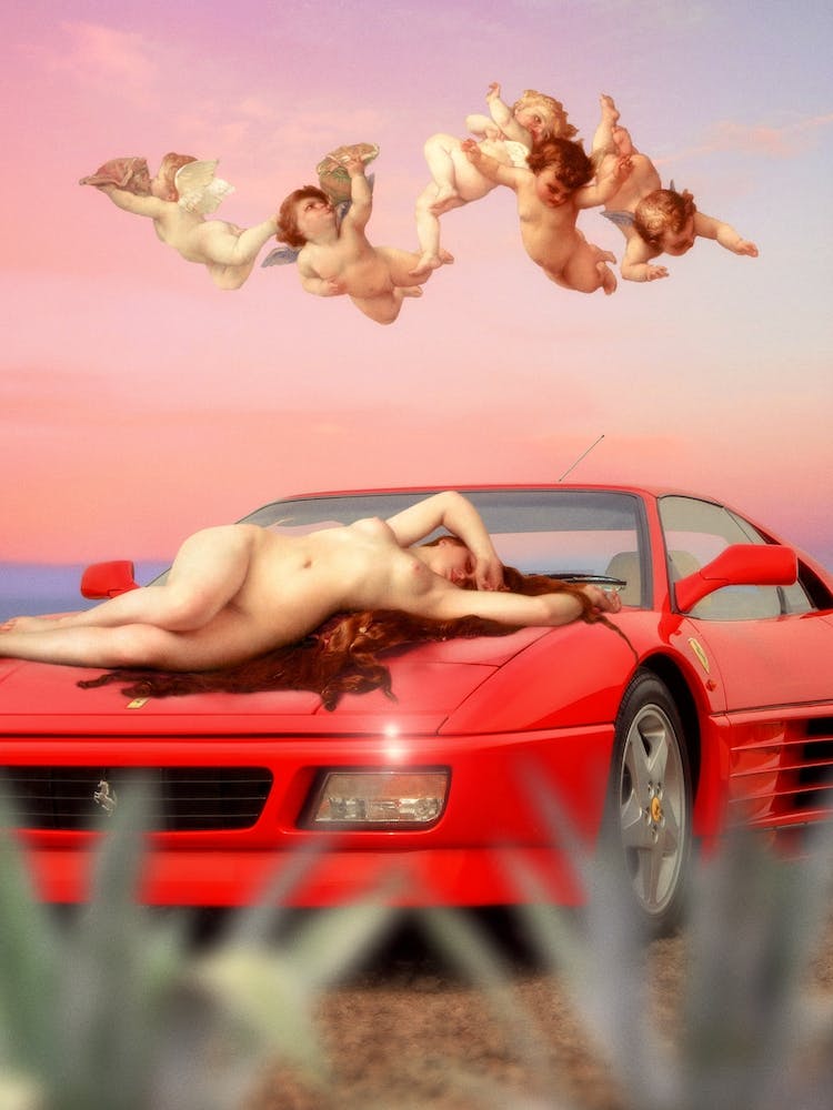 Venus Reborn
