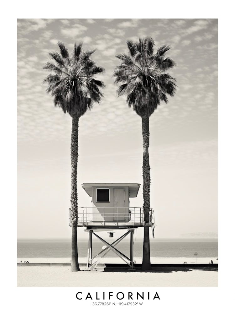 Poster Of California, Black And White Analogue Photograph 3