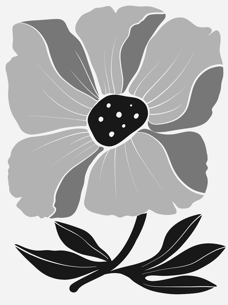 Black And White Flower 33