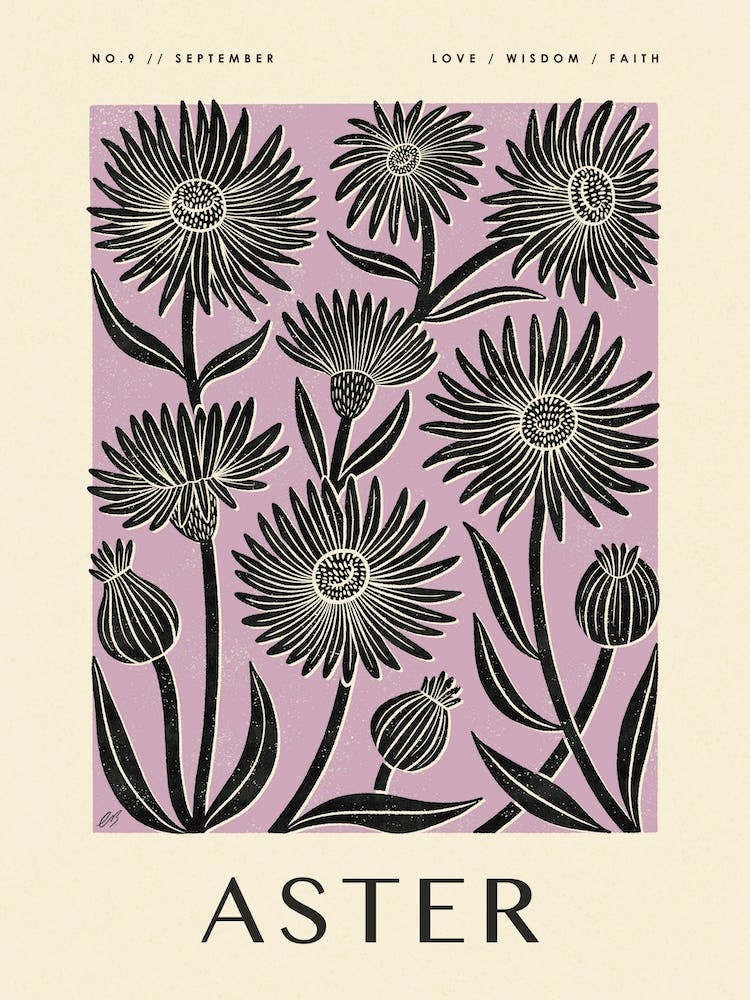 Rustic September Birth Flower Aster Black Purple