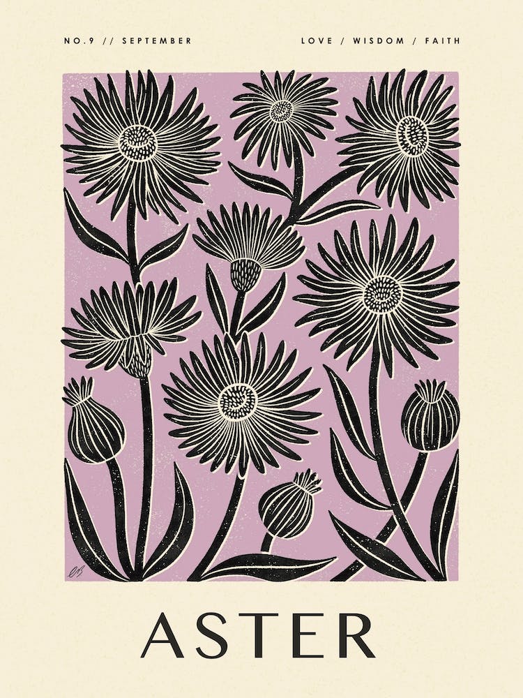 Rustic September Birth Flower Aster Black Purple