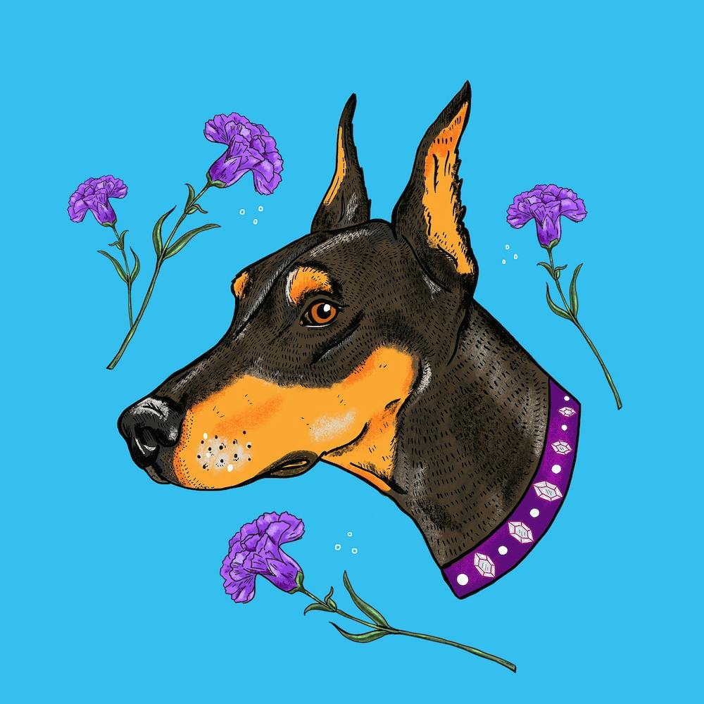 Pinscher Square