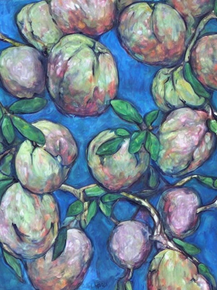 Cherimoya Classic 1 Fruit