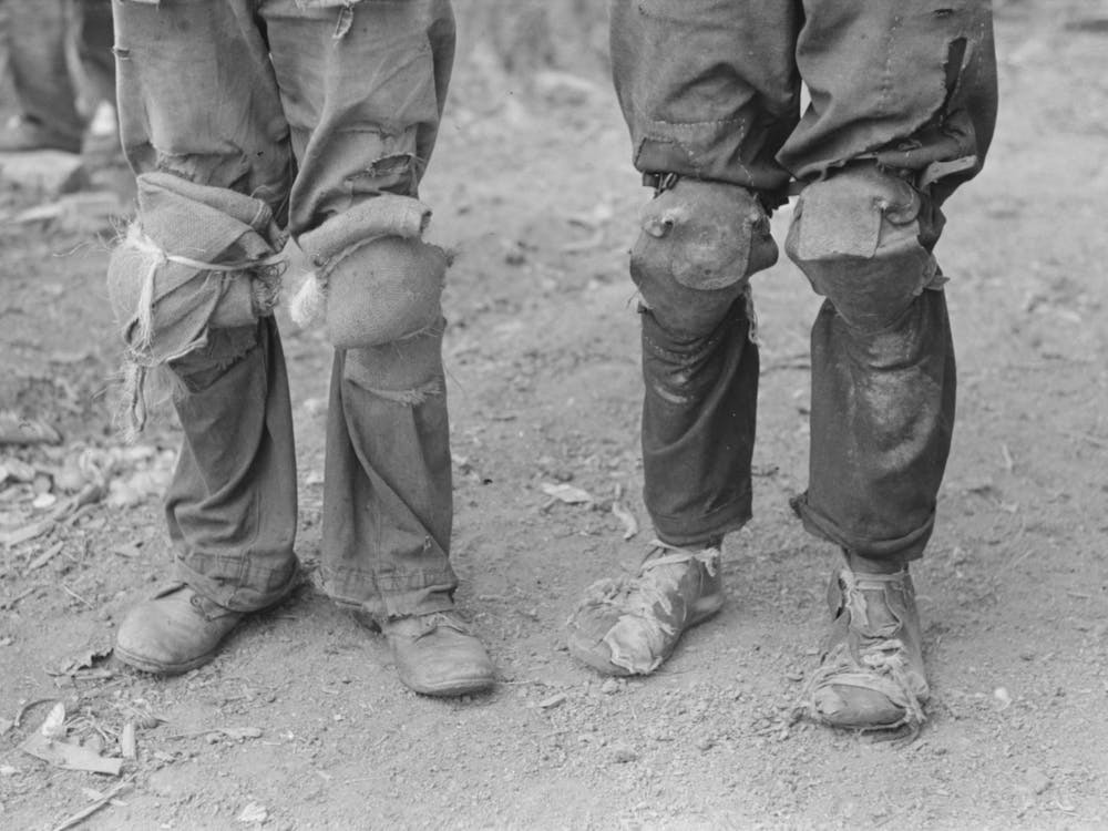 Cotton Pickers With Knee Pads, Lehi, Arkansas By Russell Lee 1