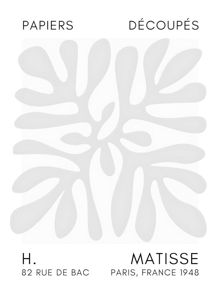 Matisse 47