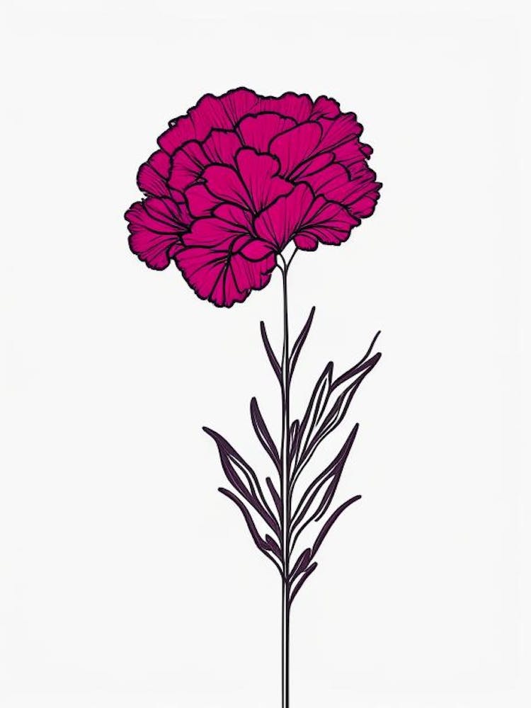 Carnation Floral Minimal Line Drawing 5 Flower