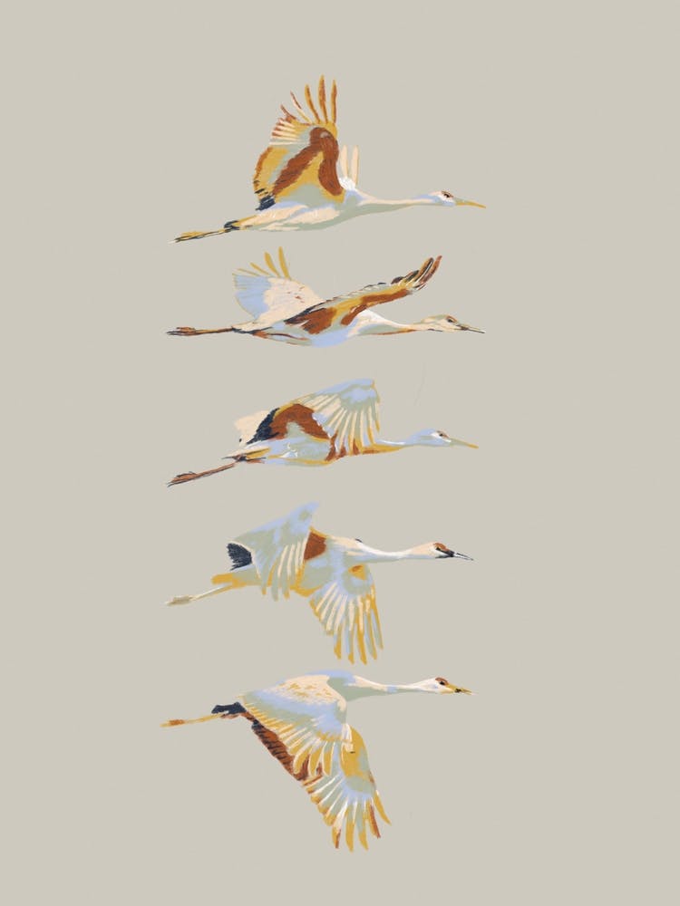 Free Bird