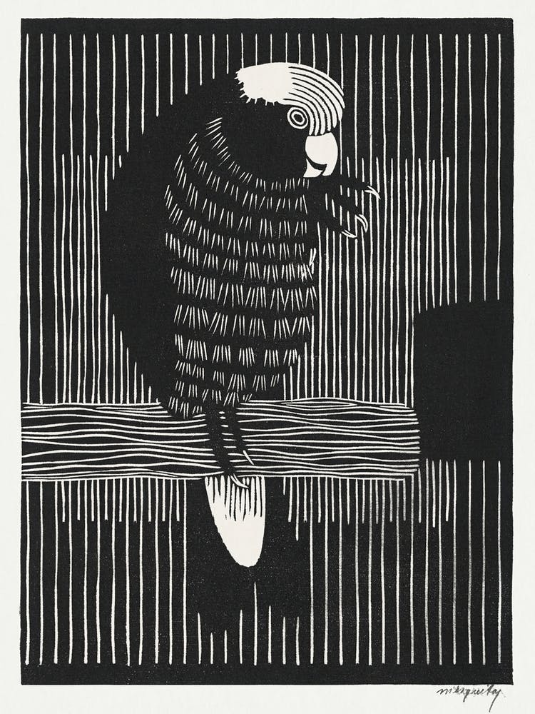 Galah Cockatoos (1917), Samuel Jessurun