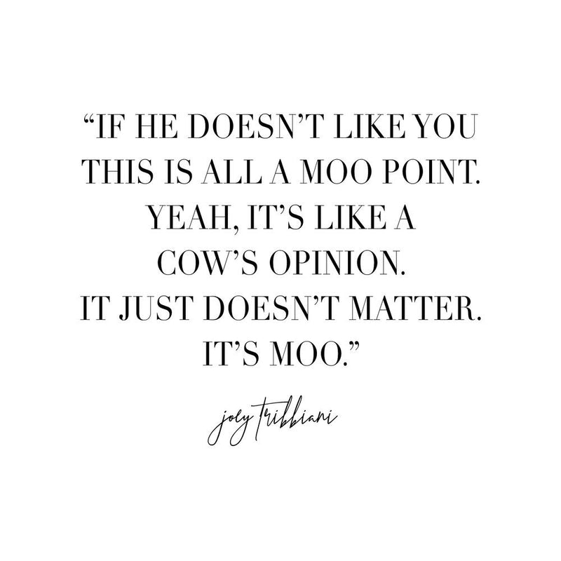 This Is All A Moo Point Joey Tribbiani Quote