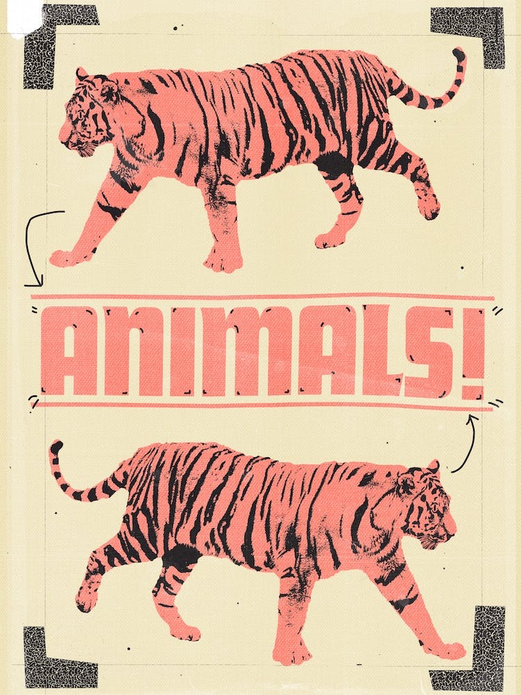 Animals