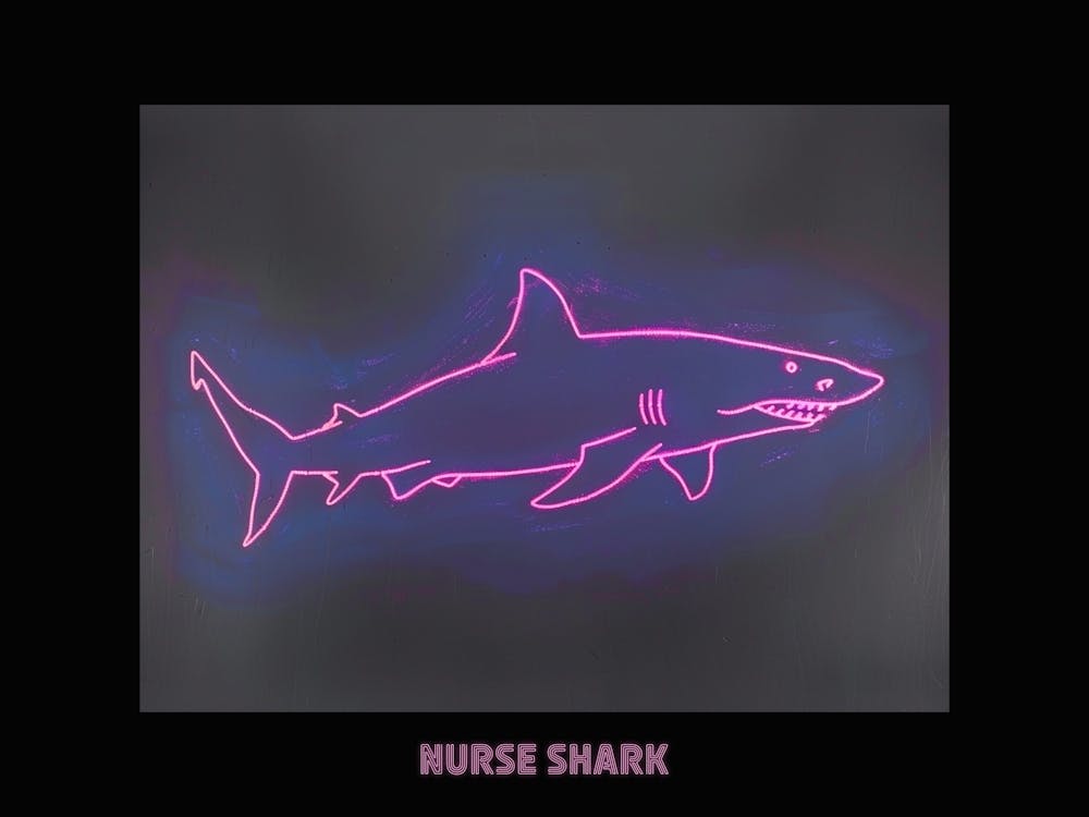 Neon Pink Nurse Shark 1 Poster