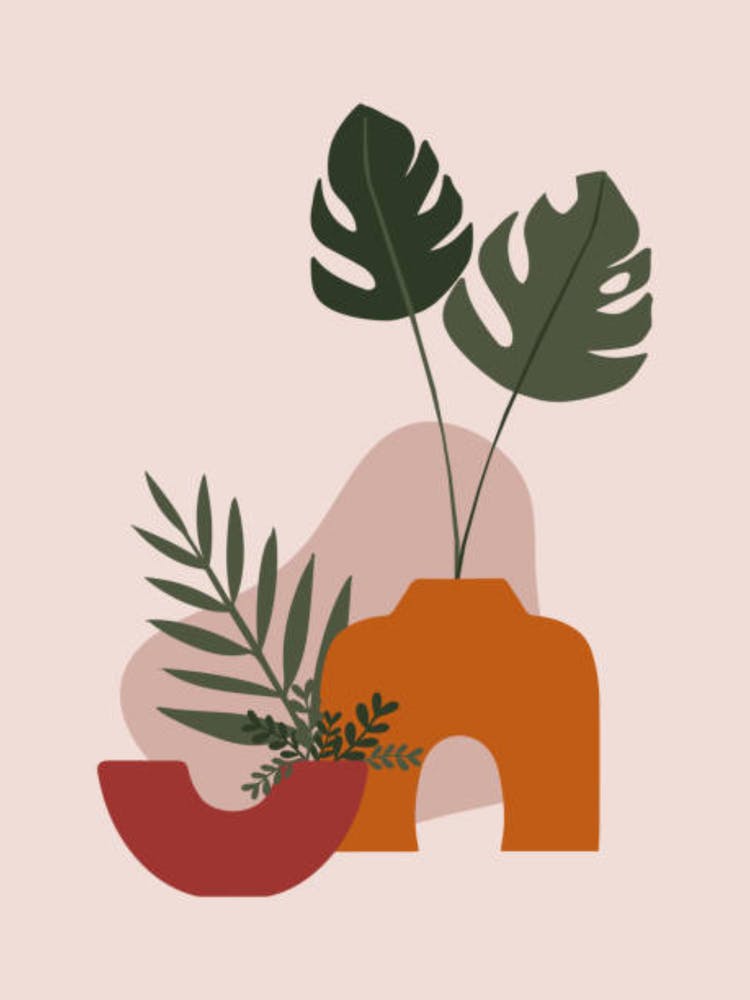 Vases And Plants