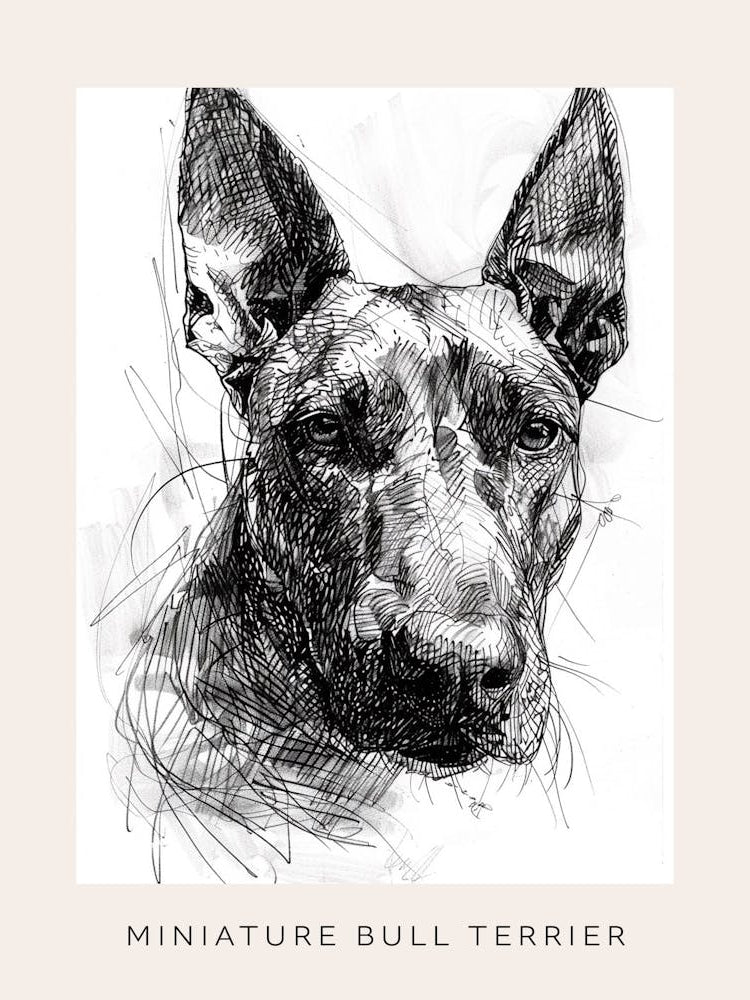Miniature Bull Terrier Line Sketch 4 Poster