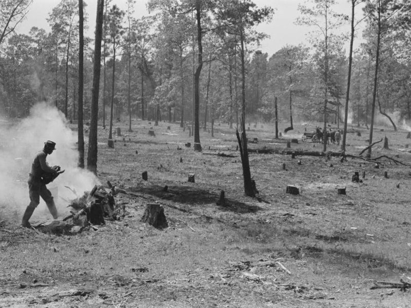 Clearing Land, Sabine Farms, Marshall, Texas By Russell Lee