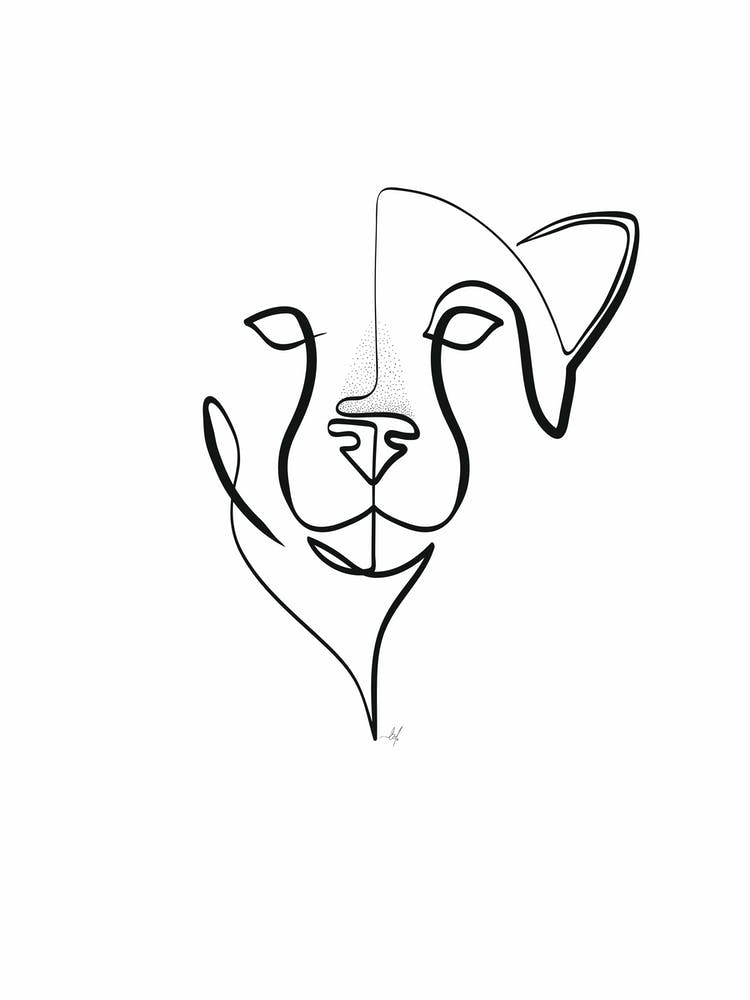 Cheetah