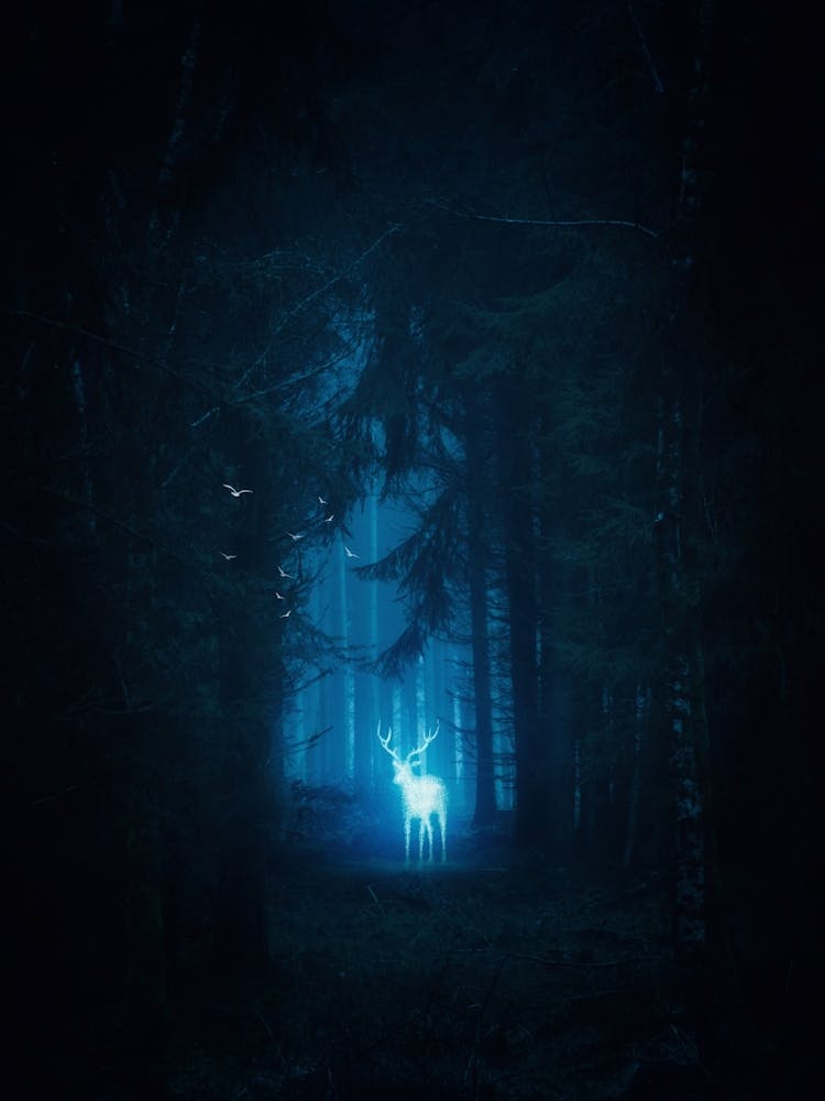 Magic Blue Deer In The Forest