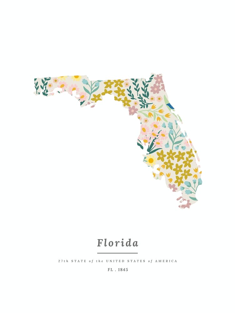 Florida | Wildflower Mix